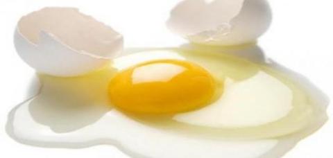 فوائد بياض البيض
